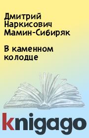 Книга - В каменном колодце.  Дмитрий Наркисович Мамин-Сибиряк  - прочитать полностью в библиотеке КнигаГо
