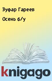 Книга - Осень б/у.  Зуфар Гареев  - прочитать полностью в библиотеке КнигаГо