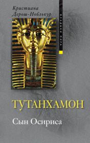 Книга - Тутанхамон. Сын Осириса.  Кристиана Дерош-Ноблькур  - прочитать полностью в библиотеке КнигаГо