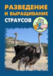 Разведение и выращивание страусов. Илья Мельников