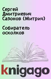 Книга - Собиратель осколков.  Сергей Дмитриевич Сазонов (Митрич)  - прочитать полностью в библиотеке КнигаГо
