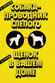 Собака-проводник слепого. Николай Егорович Орехов