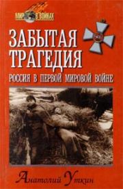 Забытая трагедия. Россия в первой мировой войне. Анатолий Уткин