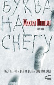 Буква на снегу. Михаил Павлович Шишкин
