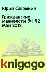Книга - Гражданские манифесты-34-42 Май 2012.  Юрий Сапрыкин  - прочитать полностью в библиотеке КнигаГо