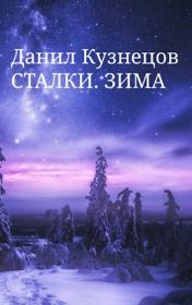 Книга - Сталки. Зима (СИ).  Данил Кузнецов  - прочитать полностью в библиотеке КнигаГо