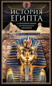 Книга - История Египта c древнейших времен до персидского завоевания.  Джеймс Брэстед  - прочитать полностью в библиотеке КнигаГо