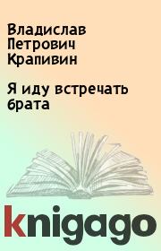 Книга - Я иду встречать брата.  Владислав Петрович Крапивин  - прочитать полностью в библиотеке КнигаГо