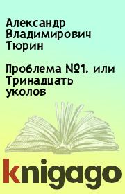 Книга - Проблема №1, или Тринадцать уколов.  Александр Владимирович Тюрин  - прочитать полностью в библиотеке КнигаГо