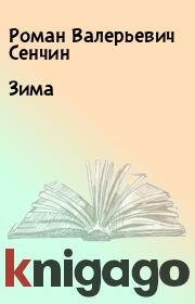 Книга - Зима.  Роман Валерьевич Сенчин  - прочитать полностью в библиотеке КнигаГо