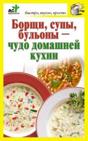 Борщи, супы, бульоны – чудо домашней кухни. Дарья Костина