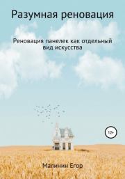 Книга - Разумная реновация.  Егор Сергеевич Малинин  - прочитать полностью в библиотеке КнигаГо