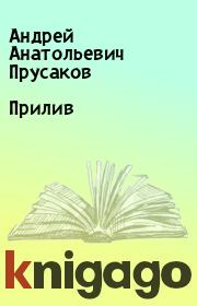 Книга - Прилив.  Андрей Анатольевич Прусаков  - прочитать полностью в библиотеке КнигаГо