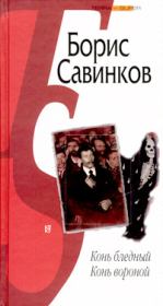 Книга - Конь вороной.  Борис Викторович Савинков  - прочитать полностью в библиотеке КнигаГо