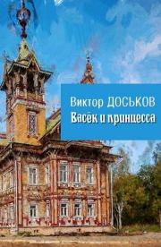Книга - Васёк и принцесса.  Виктор Николаевич Доськов  - прочитать полностью в библиотеке КнигаГо