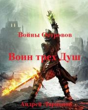 Книга - Воин трех Душ.  Андрей Ларионов  - прочитать полностью в библиотеке КнигаГо