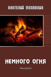 Книга - Немного огня.  Анатолий Анатольевич Махавкин  - прочитать полностью в библиотеке КнигаГо