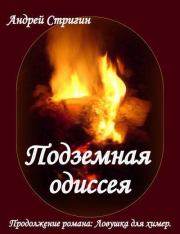 Книга - Подземная одиссея.  Андрей Николаевич Стригин  - прочитать полностью в библиотеке КнигаГо