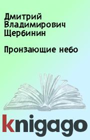 Книга - Пронзающие небо.  Дмитрий Владимирович Щербинин  - прочитать полностью в библиотеке КнигаГо