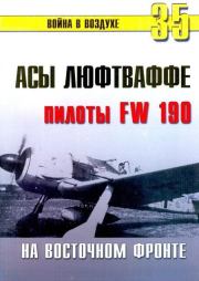 Асы люфтваффе пилоты Fw 190 на Восточном фронте. С В Иванов