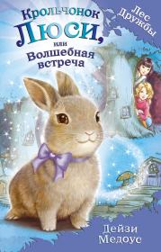 Книга - Крольчонок Люси, или Волшебная встреча.  Дейзи Медоус  - прочитать полностью в библиотеке КнигаГо
