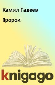 Книга - Пророк.  Камил Гадеев  - прочитать полностью в библиотеке КнигаГо