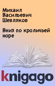 Книга - Вниз по кроличьей норе.  Михаил Васильевич Шевляков  - прочитать полностью в библиотеке КнигаГо
