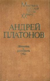 Оборона Семидворья. Андрей Платонов