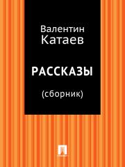 Книга - Рассказы.  Валентин Петрович Катаев  - прочитать полностью в библиотеке КнигаГо