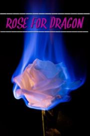 Роза для дракона (СИ).  Aino Aisenberg