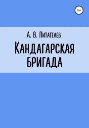 Книга - Кандагарская бригада.  А. В. Питателев  - прочитать полностью в библиотеке КнигаГо