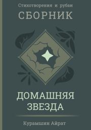 Книга - Домашняя звезда.  Айрат Ренатович Курамшин  - прочитать полностью в библиотеке КнигаГо