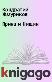Книга - Принц и Нищин.  Кондратий Жмуриков  - прочитать полностью в библиотеке КнигаГо