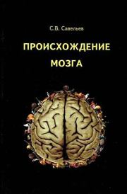 Книга - Происхождение мозга.  Сергей Вячеславович Савельев  - прочитать полностью в библиотеке КнигаГо