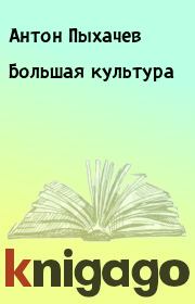 Книга - Большая культура.  Антон Пыхачев  - прочитать полностью в библиотеке КнигаГо