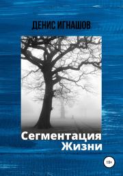 Книга - Сегментация Жизни.  Денис Игнашов  - прочитать полностью в библиотеке КнигаГо