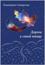 Книга - Дорога к синей птице.  Екатерина Сатирская  - прочитать полностью в библиотеке КнигаГо