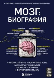 Мозг: биография. Извилистый путь к пониманию того, как работает наш разум, где хранится память и формируются мысли. Мэтью Кобб