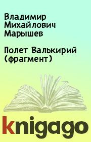 Книга - Полет Валькирий (фрагмент).  Владимир Михайлович Марышев  - прочитать полностью в библиотеке КнигаГо
