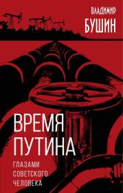 Книга - Время Путина. Глазами советского человека.  Владимир Сергеевич Бушин  - прочитать полностью в библиотеке КнигаГо
