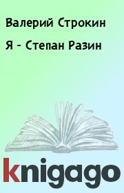 Книга - Я - Степан Разин.  Валерий Строкин  - прочитать полностью в библиотеке КнигаГо