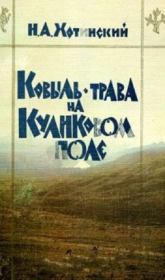 Книга - Ковыль-трава на Куликовом поле.  Никита Александрович Хотинский  - прочитать полностью в библиотеке КнигаГо