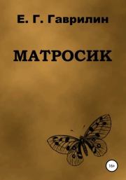 Книга - Матросик.  Евгений Геннадьевич Гаврилин  - прочитать полностью в библиотеке КнигаГо