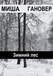 Зимний лес. Миша Гановер