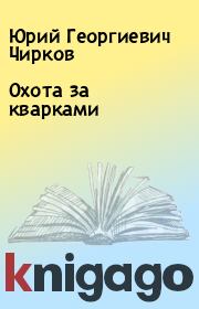 Книга - Охота за кварками.  Юрий Георгиевич Чирков  - прочитать полностью в библиотеке КнигаГо