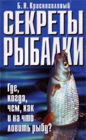 Книга - Секреты рыбалки.  Борис Николаевич Красноголовый  - прочитать полностью в библиотеке КнигаГо