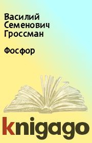 Книга - Фосфор.  Василий Семенович Гроссман  - прочитать полностью в библиотеке КнигаГо
