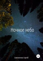 Ночное небо. Сергей Александрович Селегиненко
