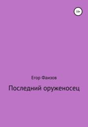 Книга - Последний оруженосец.  Егор Сергеевич Фаизов  - прочитать полностью в библиотеке КнигаГо