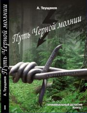 Книга - Путь "Чёрной молнии".  Александр Александрович Теущаков  - прочитать полностью в библиотеке КнигаГо